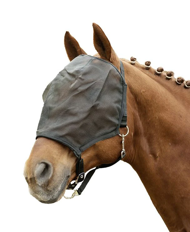 Fly shield halter