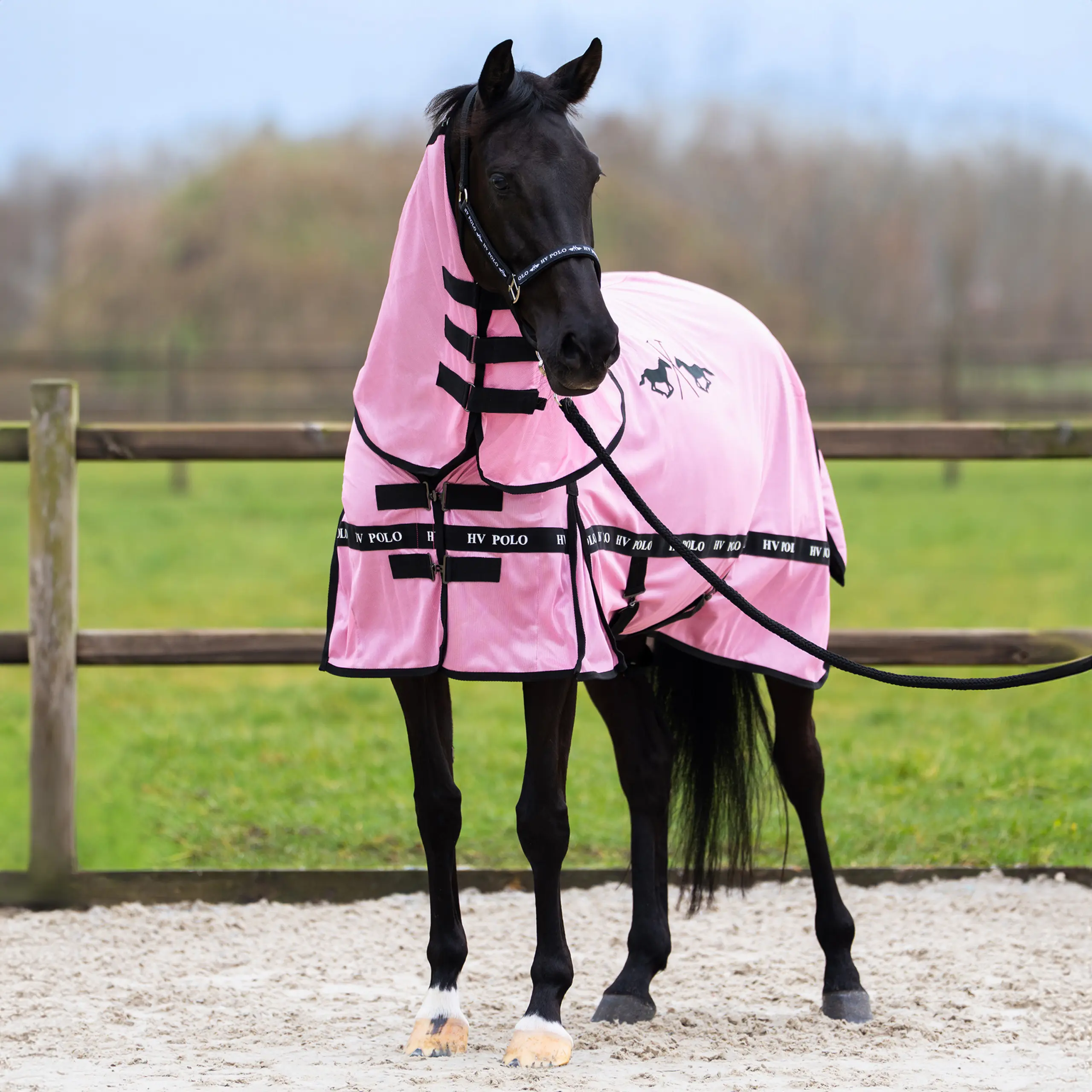 Fly blanket HVPNena Sommer 2026