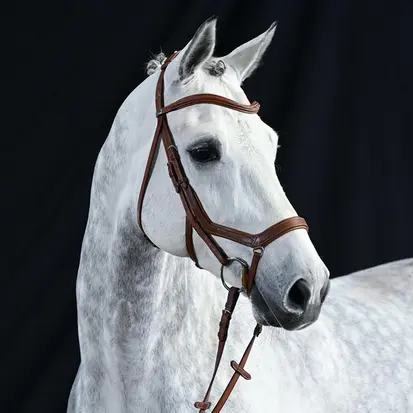 BUSSE Anatomical Noseband TAKE-OFF LINE AN