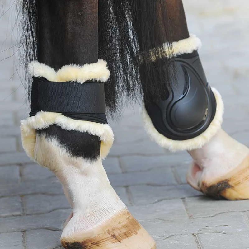 fetlock boots Compete n Wool