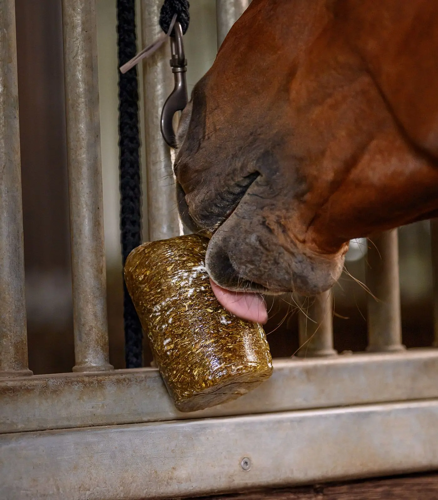 StableSnack Kräuter Leckstein