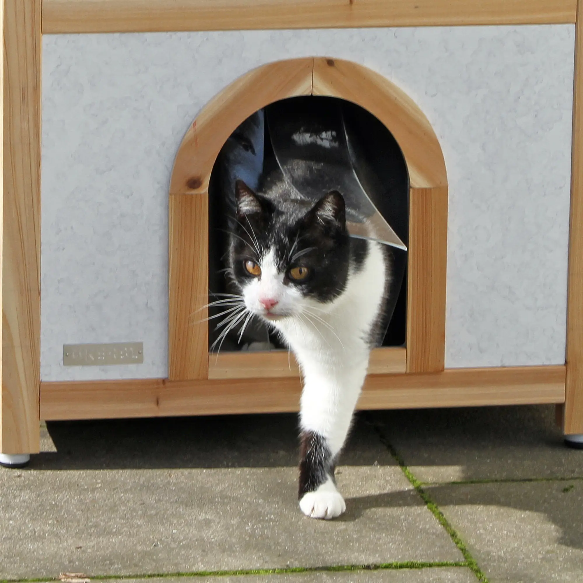 Cat House Tyrol Alpin 57 x 88 cm