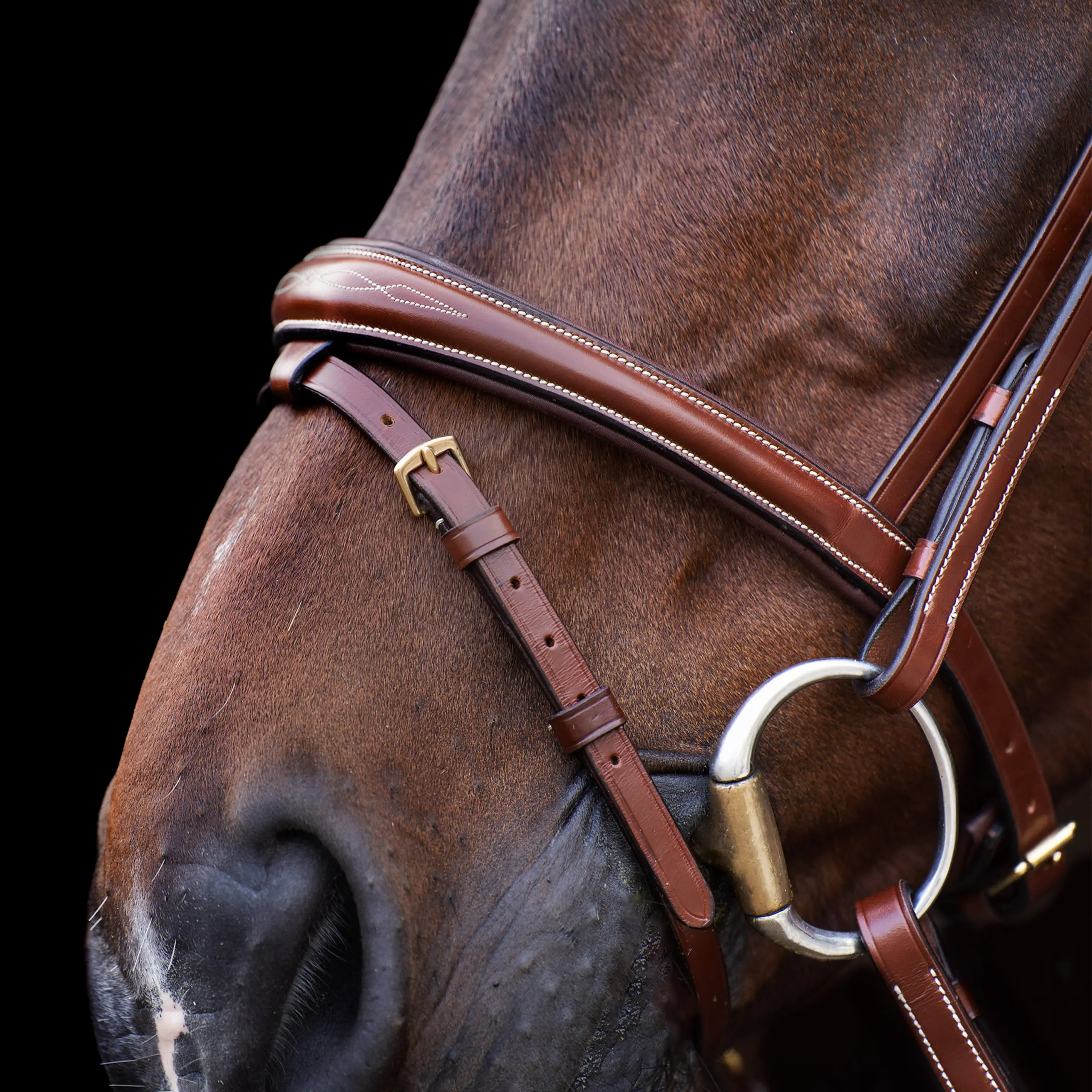 Bridle HVP-Legacy
