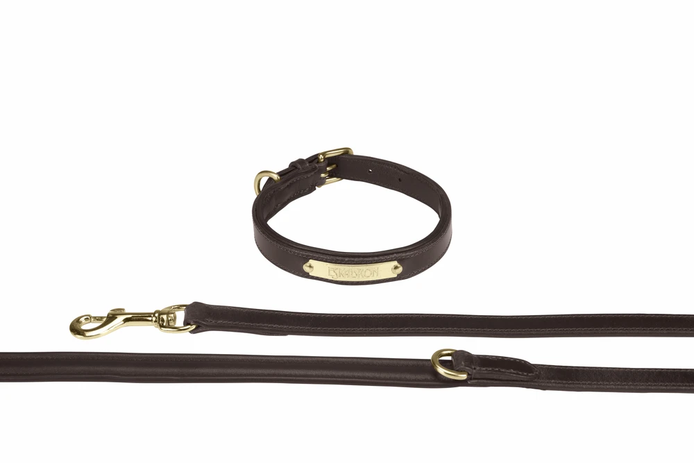 Hundeset LEATHER CORE brown-gold