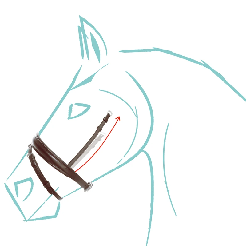 English special nosebands "Cre8" -with flash