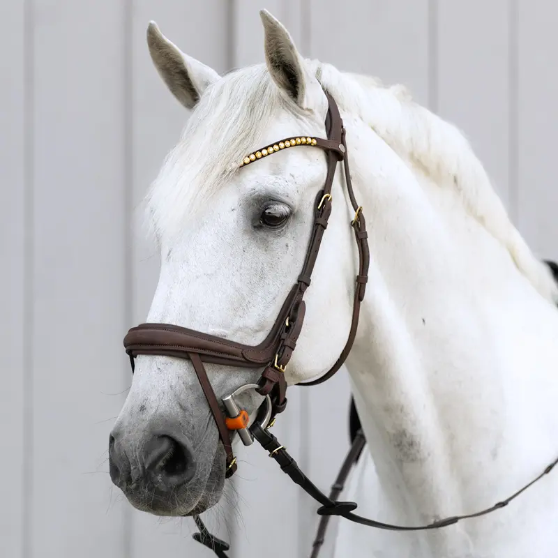 bridle CALIANO english nb. with flash