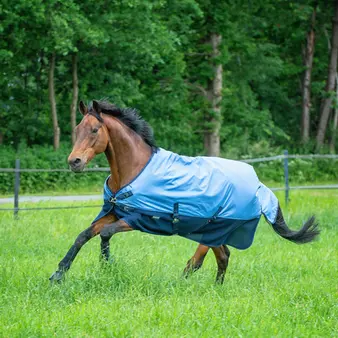 BUSSE Turnout Rug 3D AIR Rain