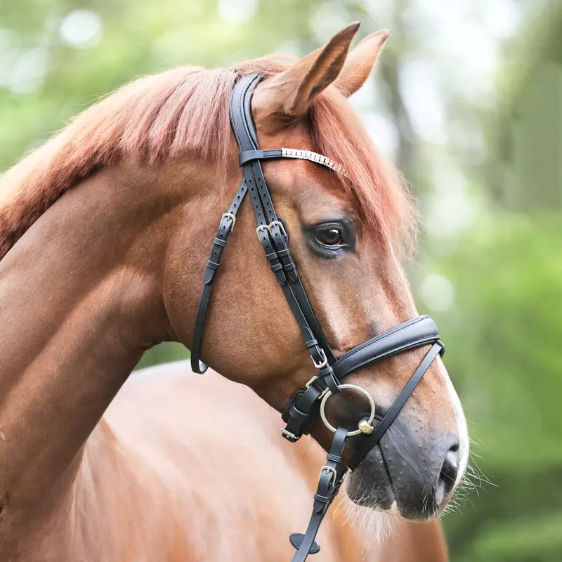 Trense EVERLYN mit schwed.komb. Reithalfter, geöltes Leder