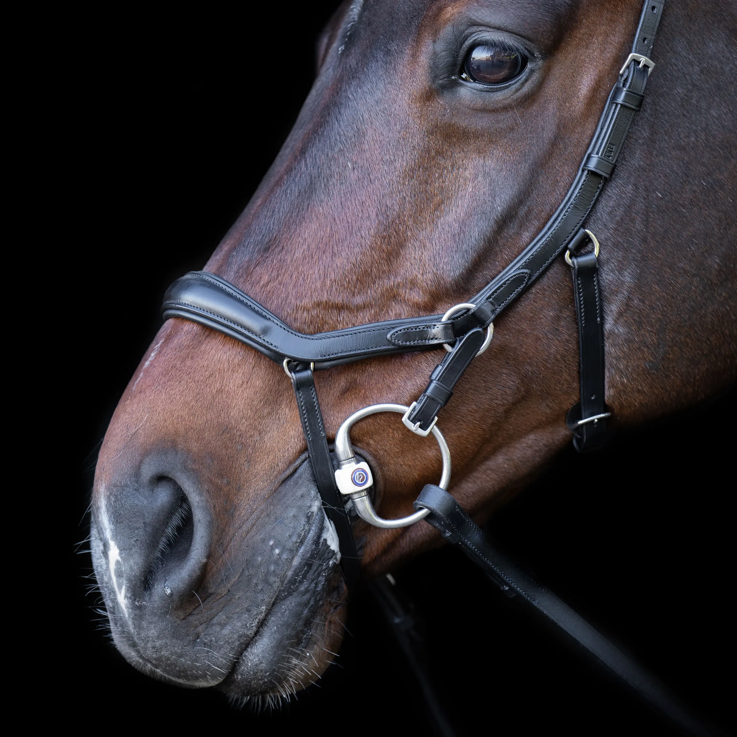 Trense HVP-Legacy Anatomisch deluxe