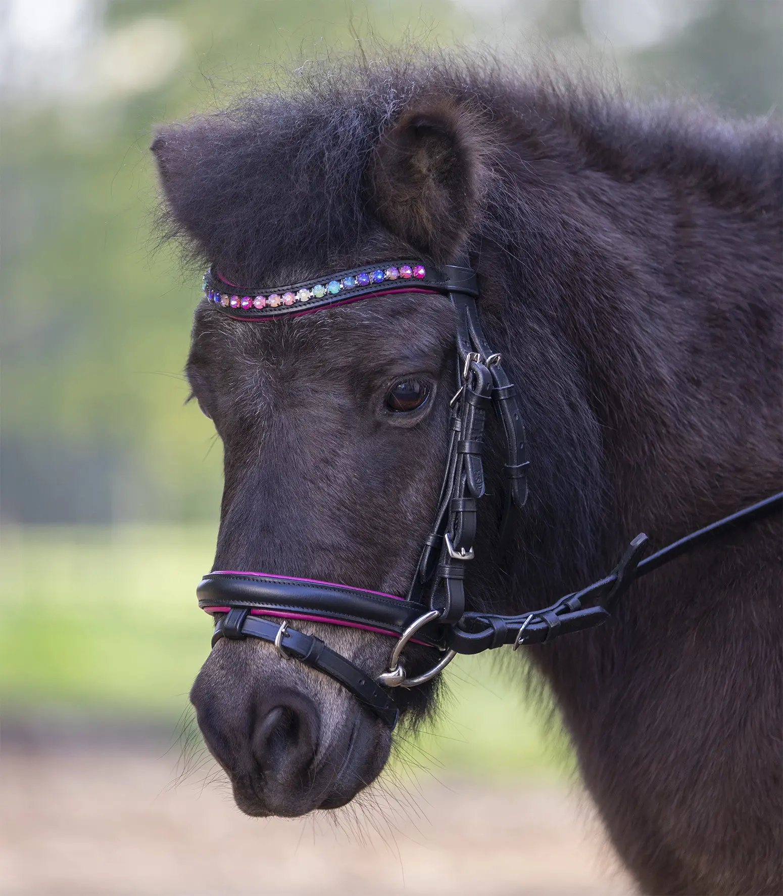 STAR Trensenzaum PINKY