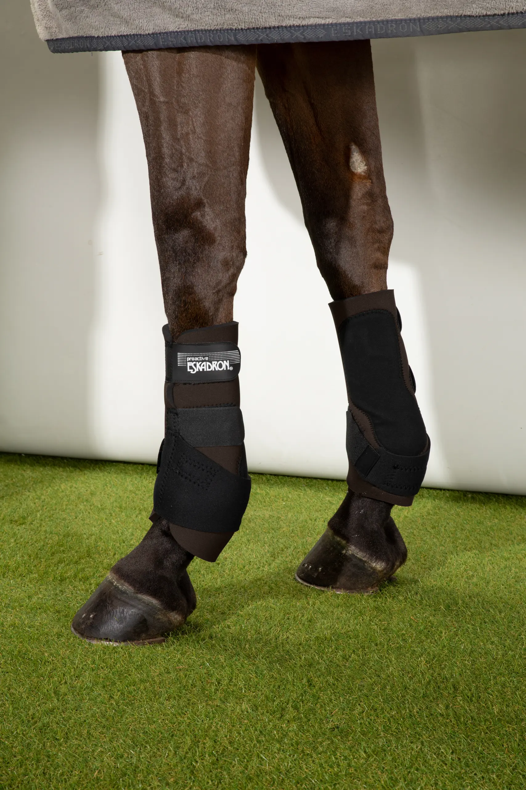 tendon boots PRO ACTIVE F Core