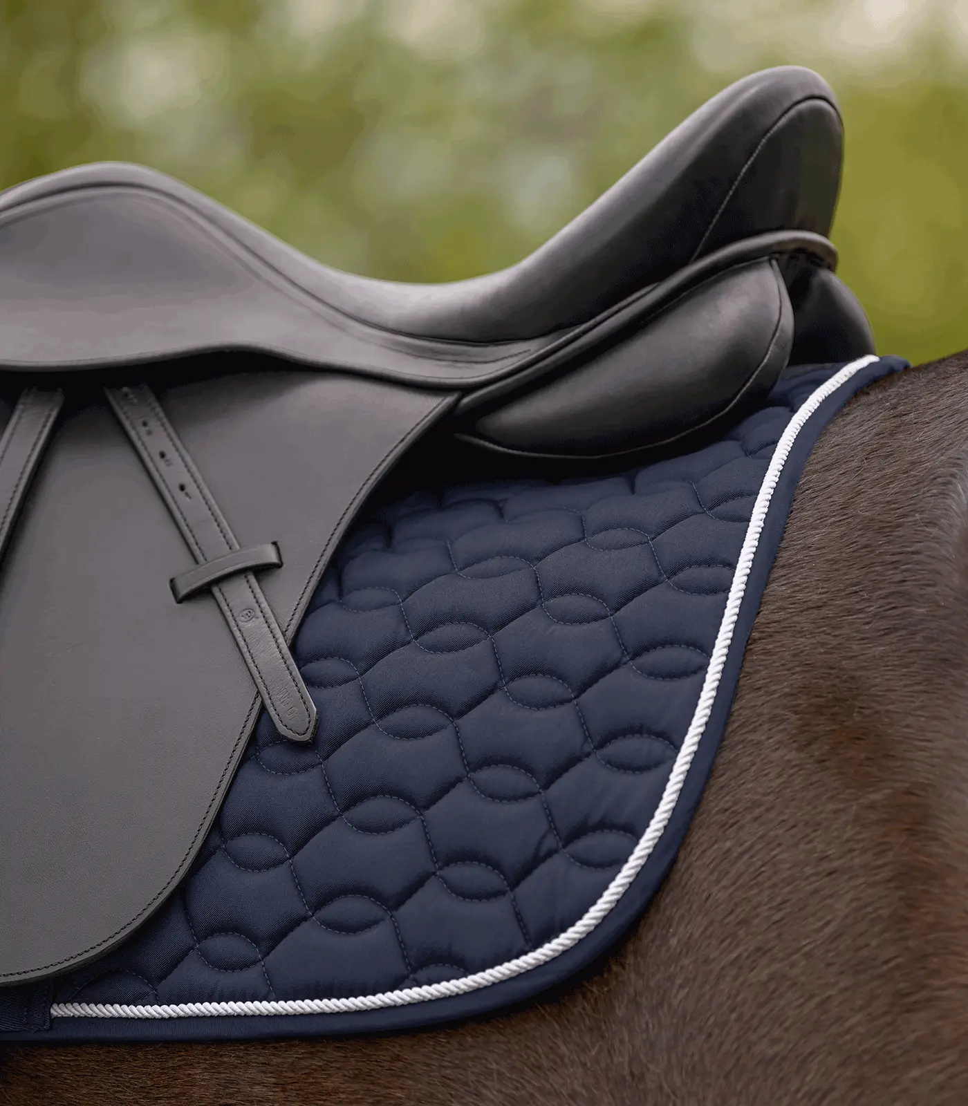 Ancona Saddle Pad