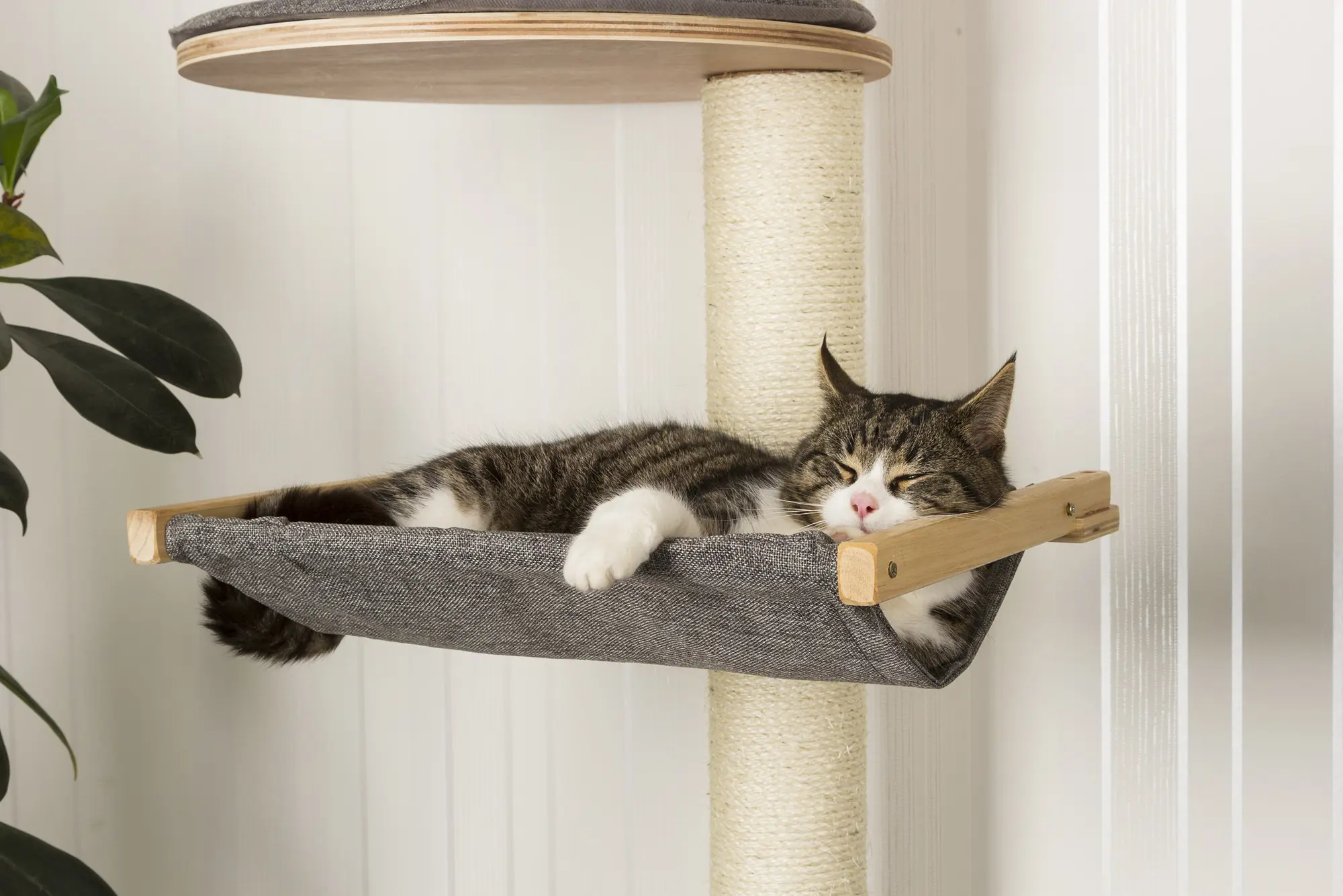 Wall-mounted cat tree Dolomit XL Tofana,185 x(115)cm, grey