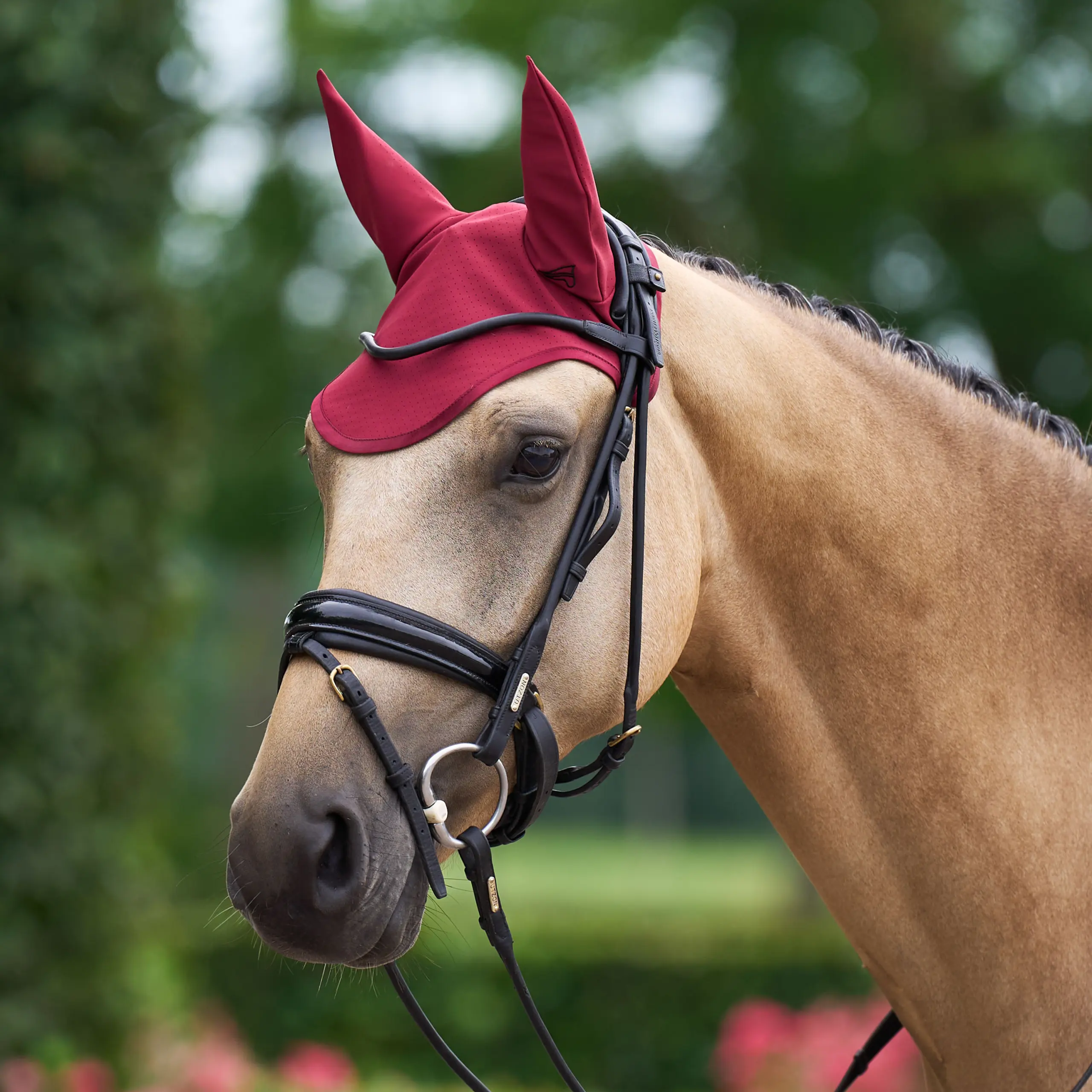 Fly veil ESCoco Summer 2026