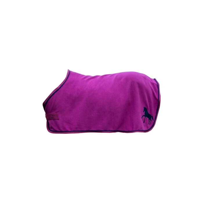 HKM Shetty Cooler MINI