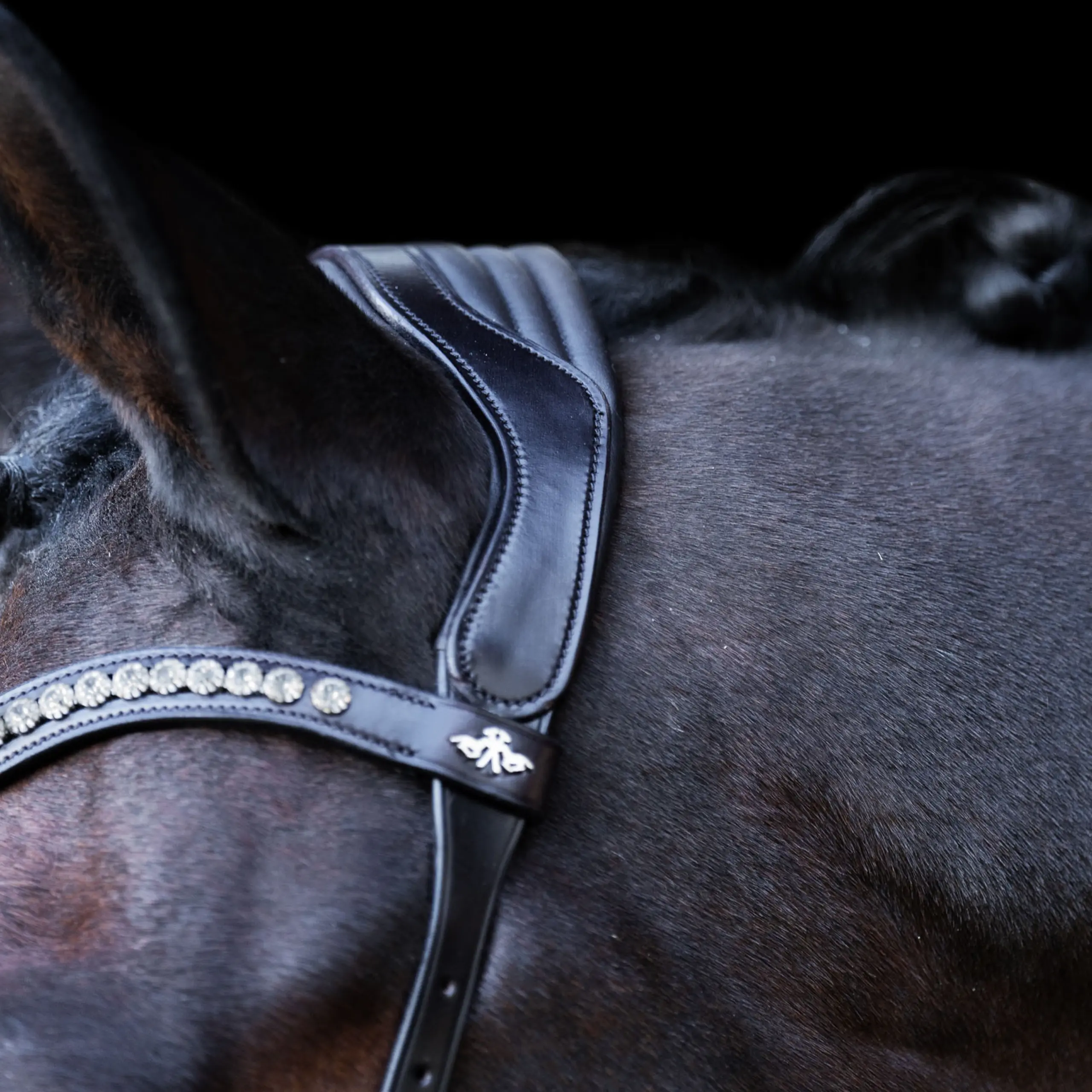 Trense HVP-Legacy Anatomisch deluxe