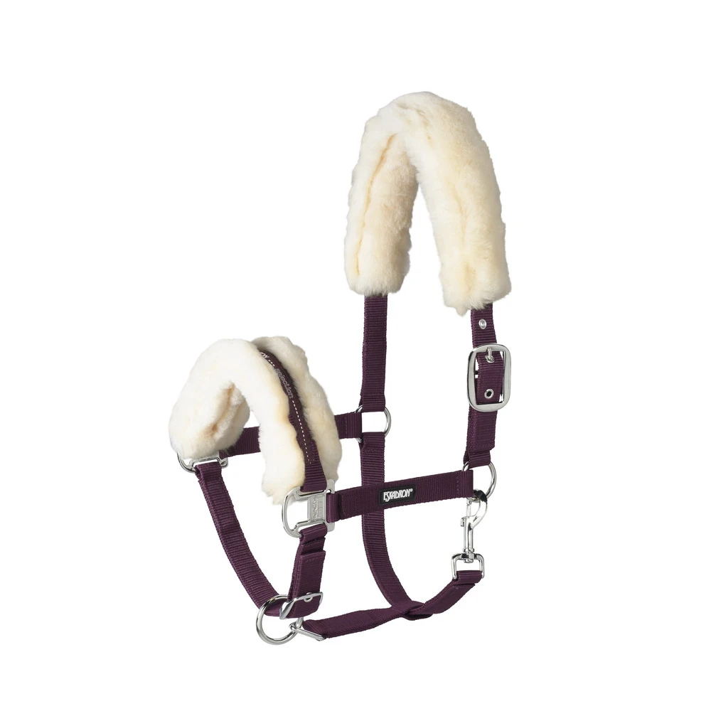 Standard Halfter LAMBSKIN PIN BUCKLE