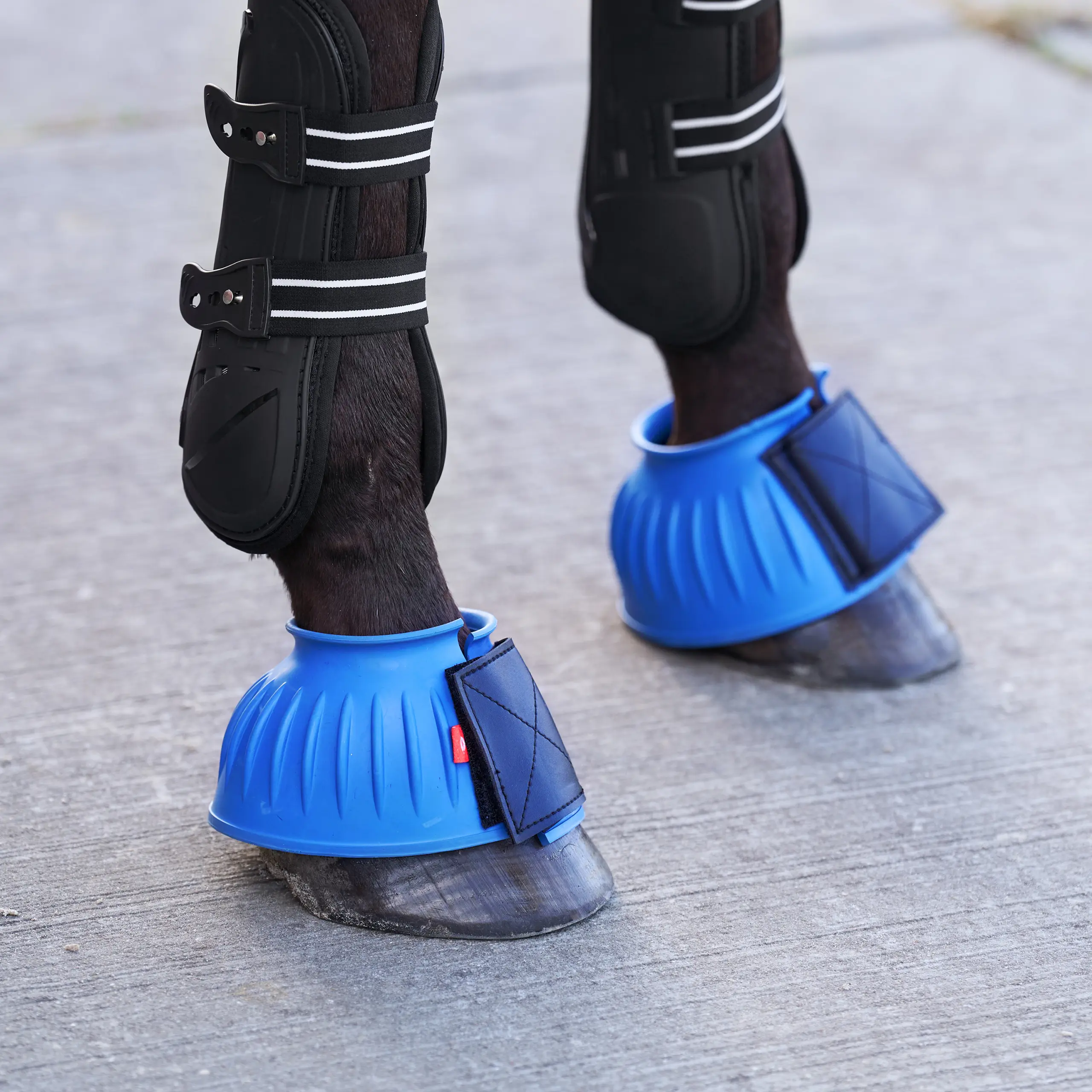 Hufglocken IRHBells Sommer 2026