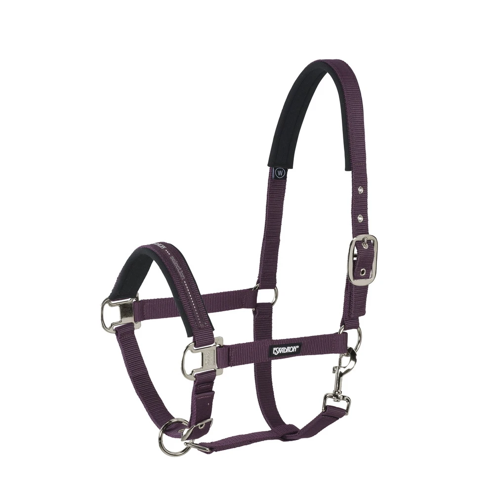 Standard Halfter PIN BUCKLE