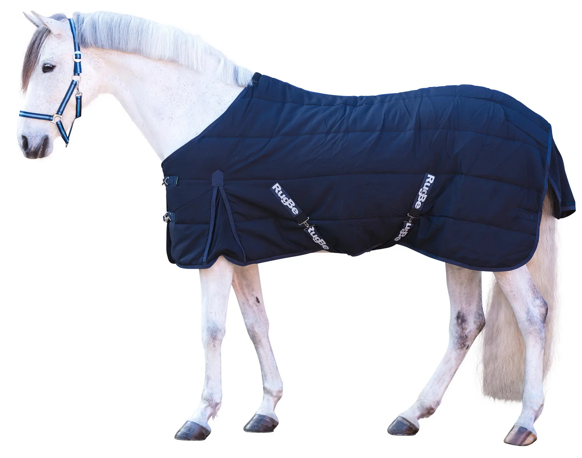 Stalldecke RUG BE INDOOR
