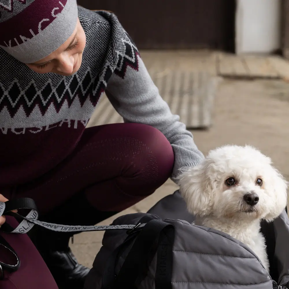 Hundetasche KLMacey mit Decke Winter 2025