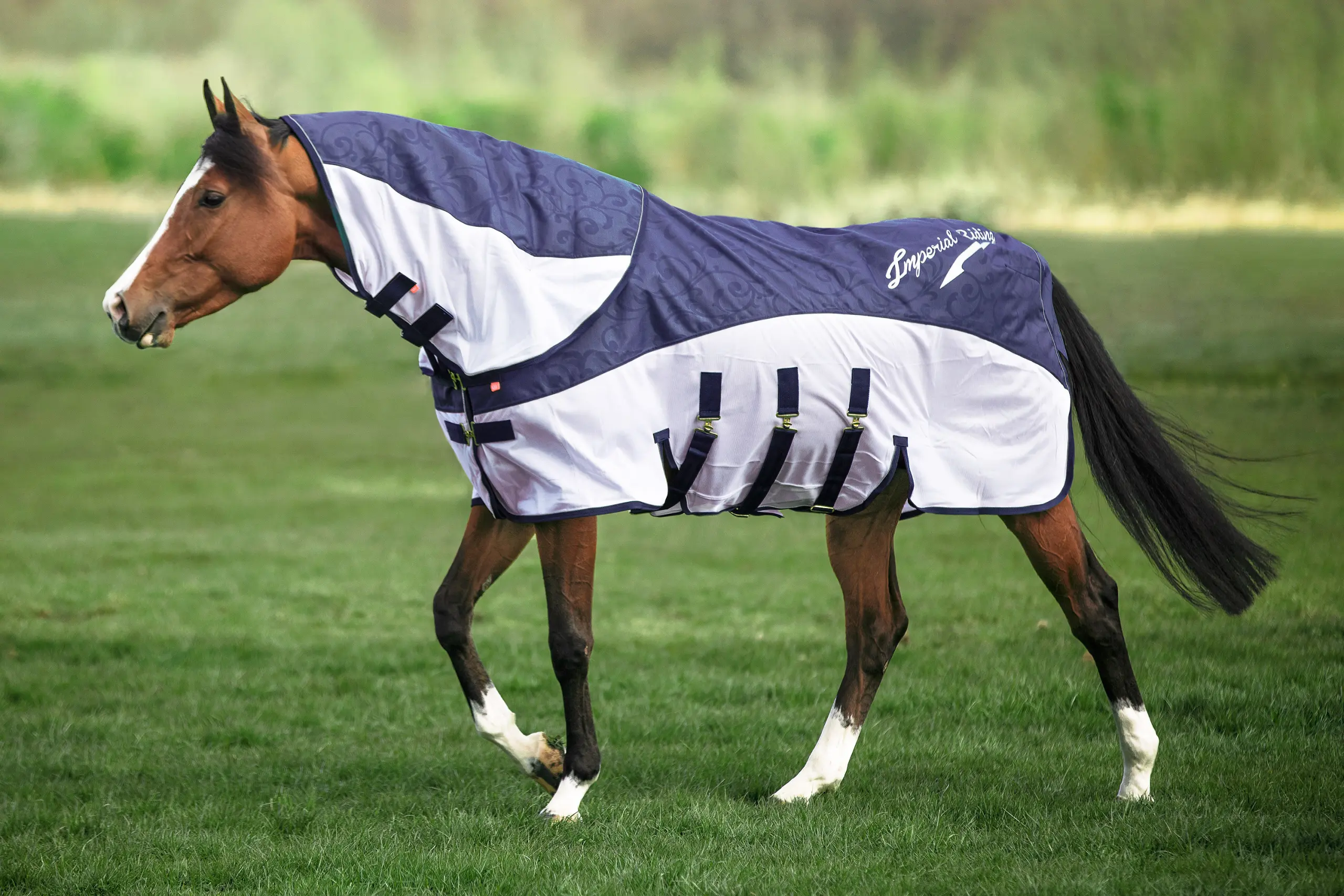Rain & Fly blanket IRHSuper-dry Summer 2026