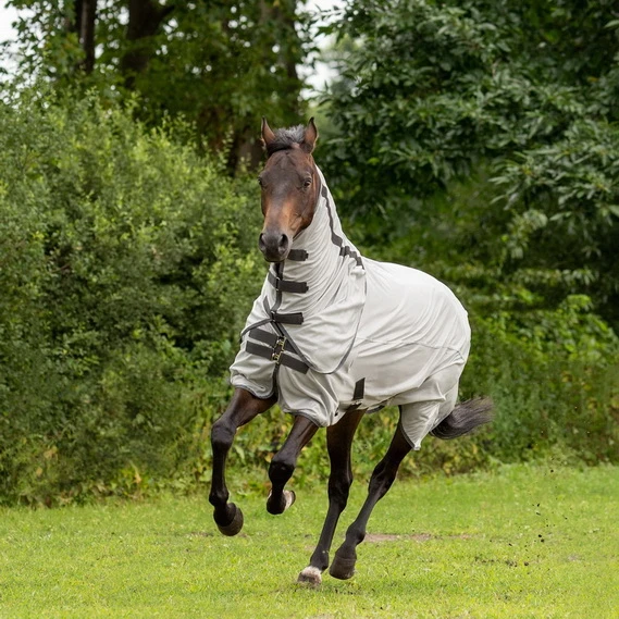 BUSSE Turnout Fly Sheet SUNSHINE II