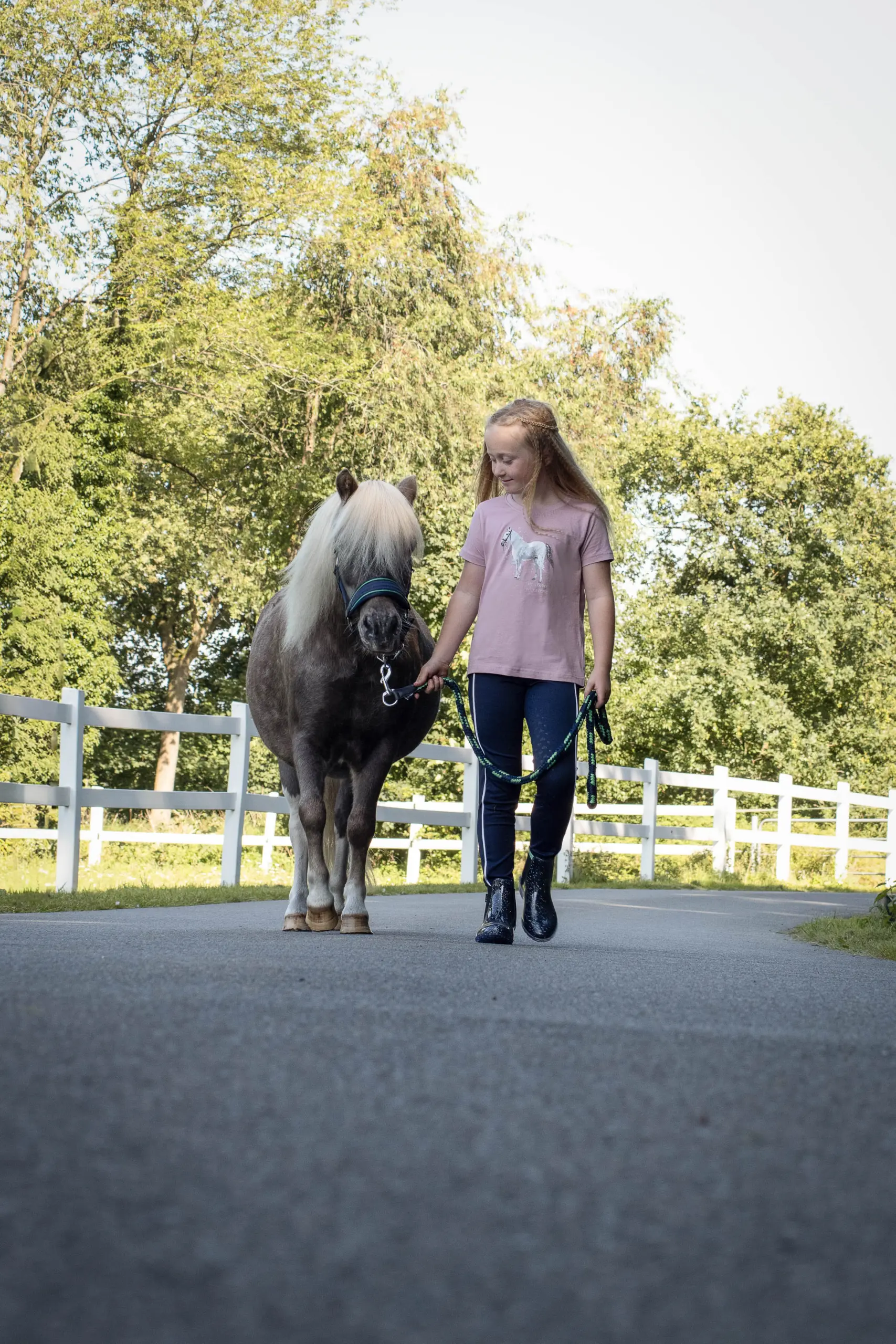 Headcollar MAUI shetland ponies summer 2026