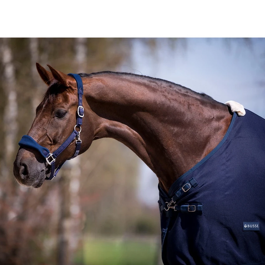 BUSSE Summer Rug EARLY SEASON