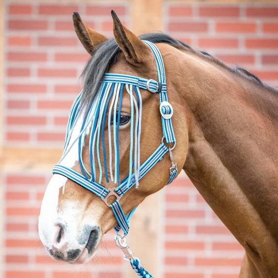 BUSSE Flystring Browband VISBY II