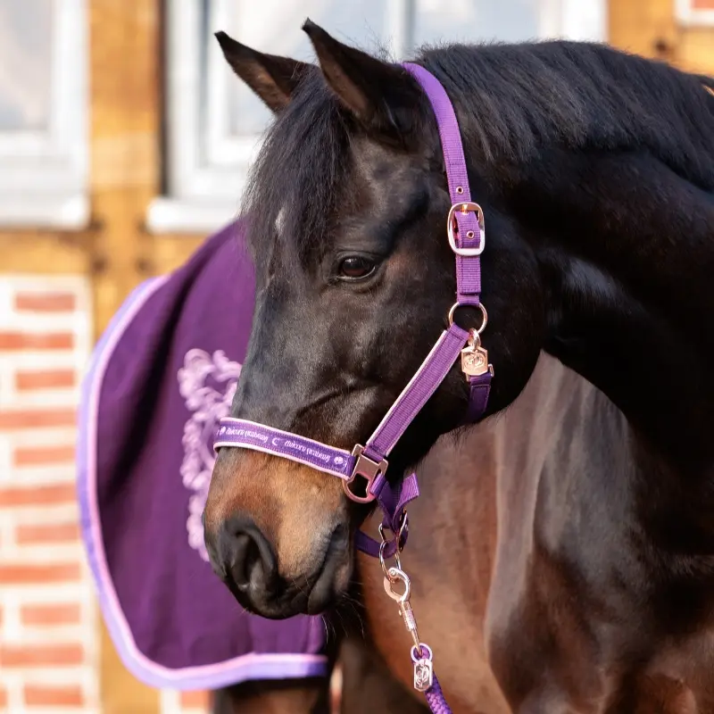 Halfter "Unicorn Academy"-Glitzer