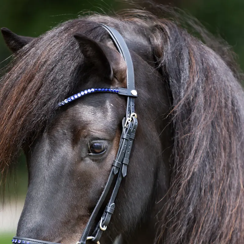 KAVALKADE Browband "Delight" curved