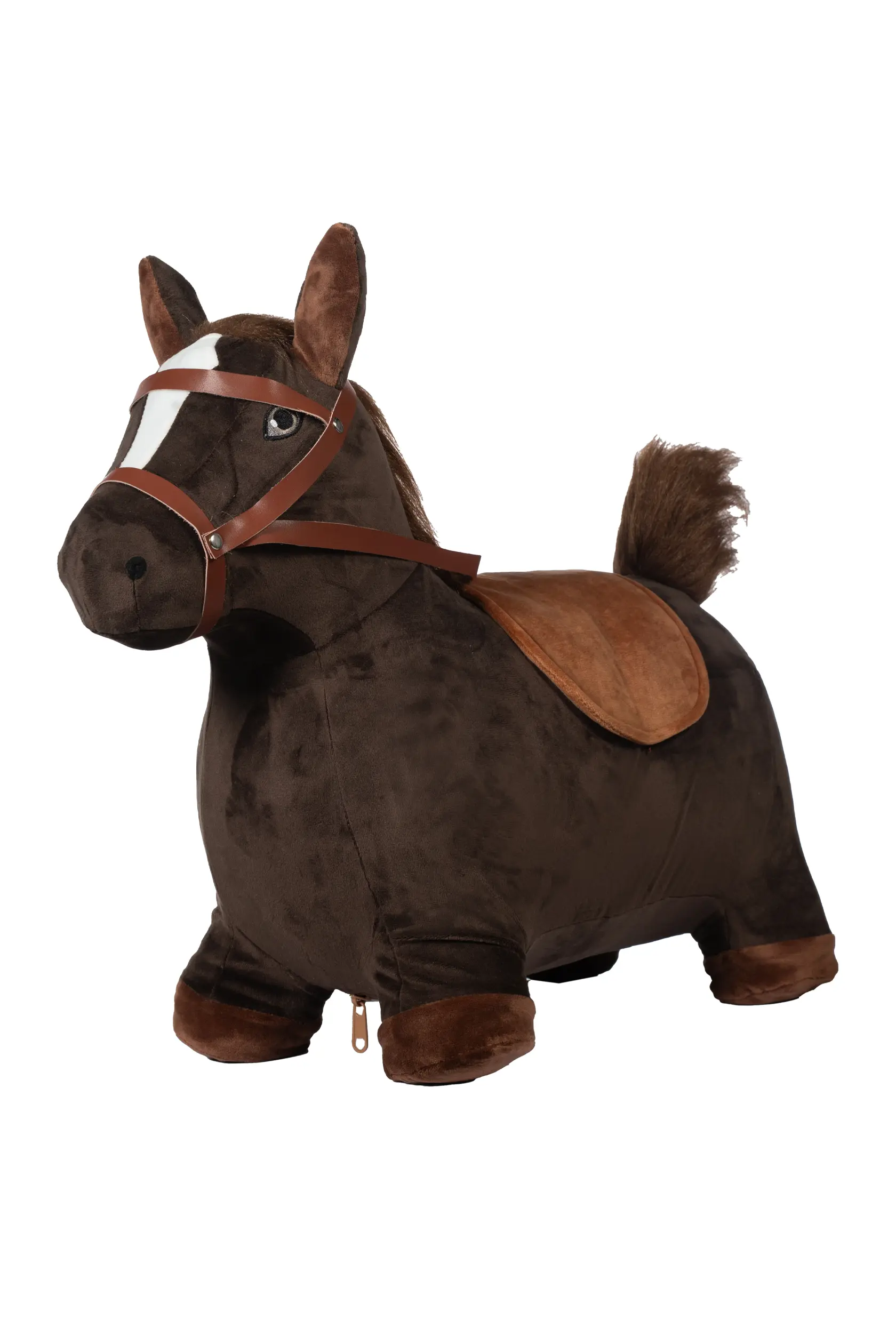 Jumping horse summer 2026