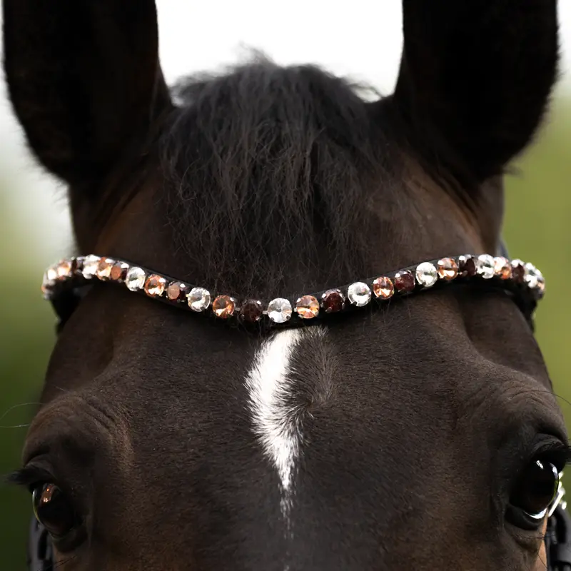Browband BURGUNDY