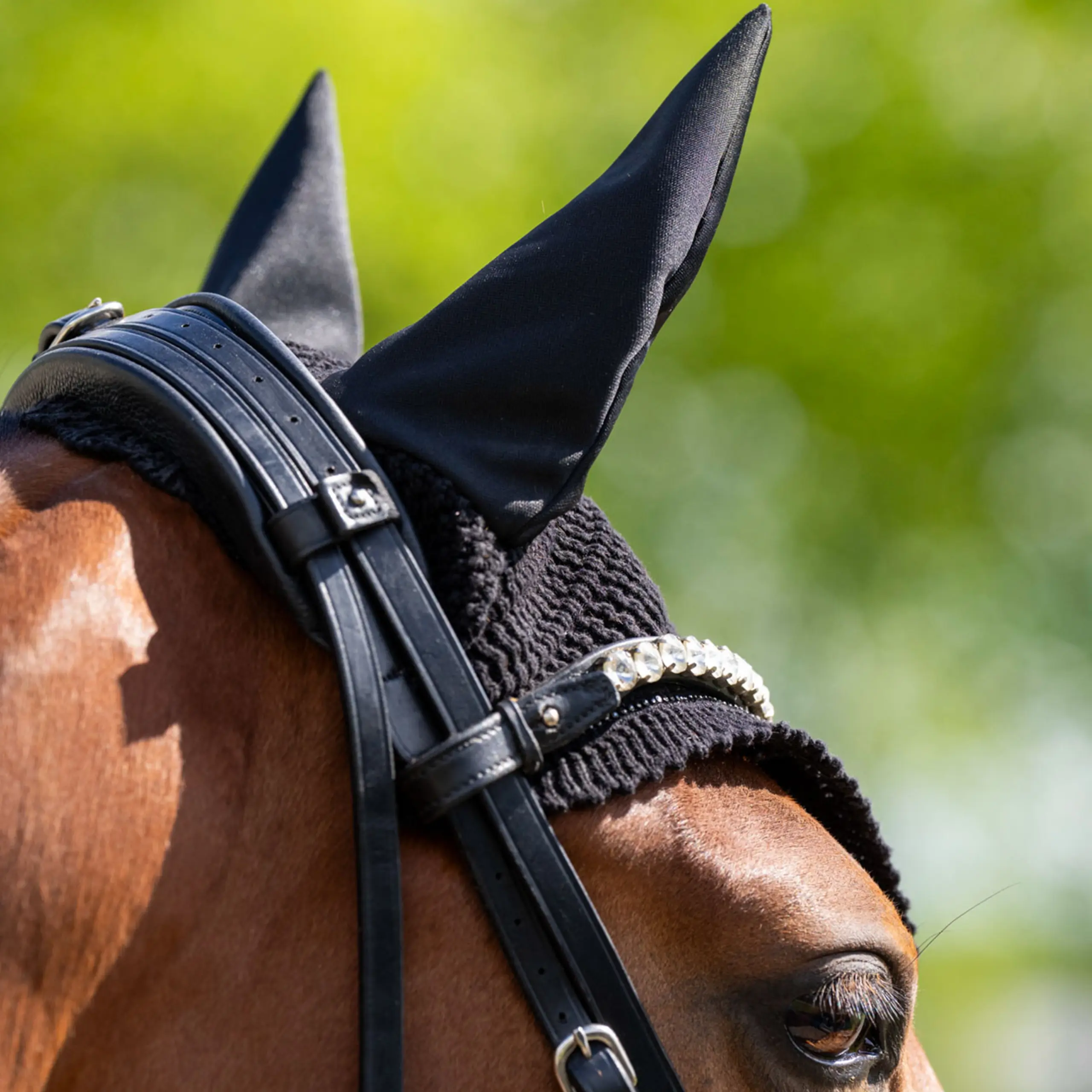 Fliegenhaube ESCato Sommer 2026
