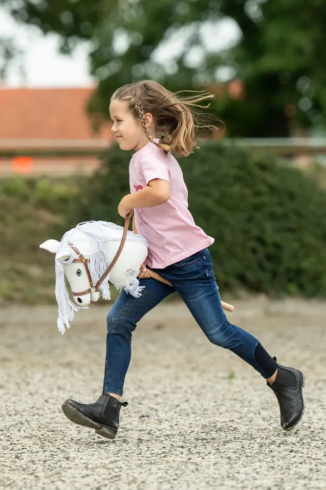 Hobby Horse -Mini-