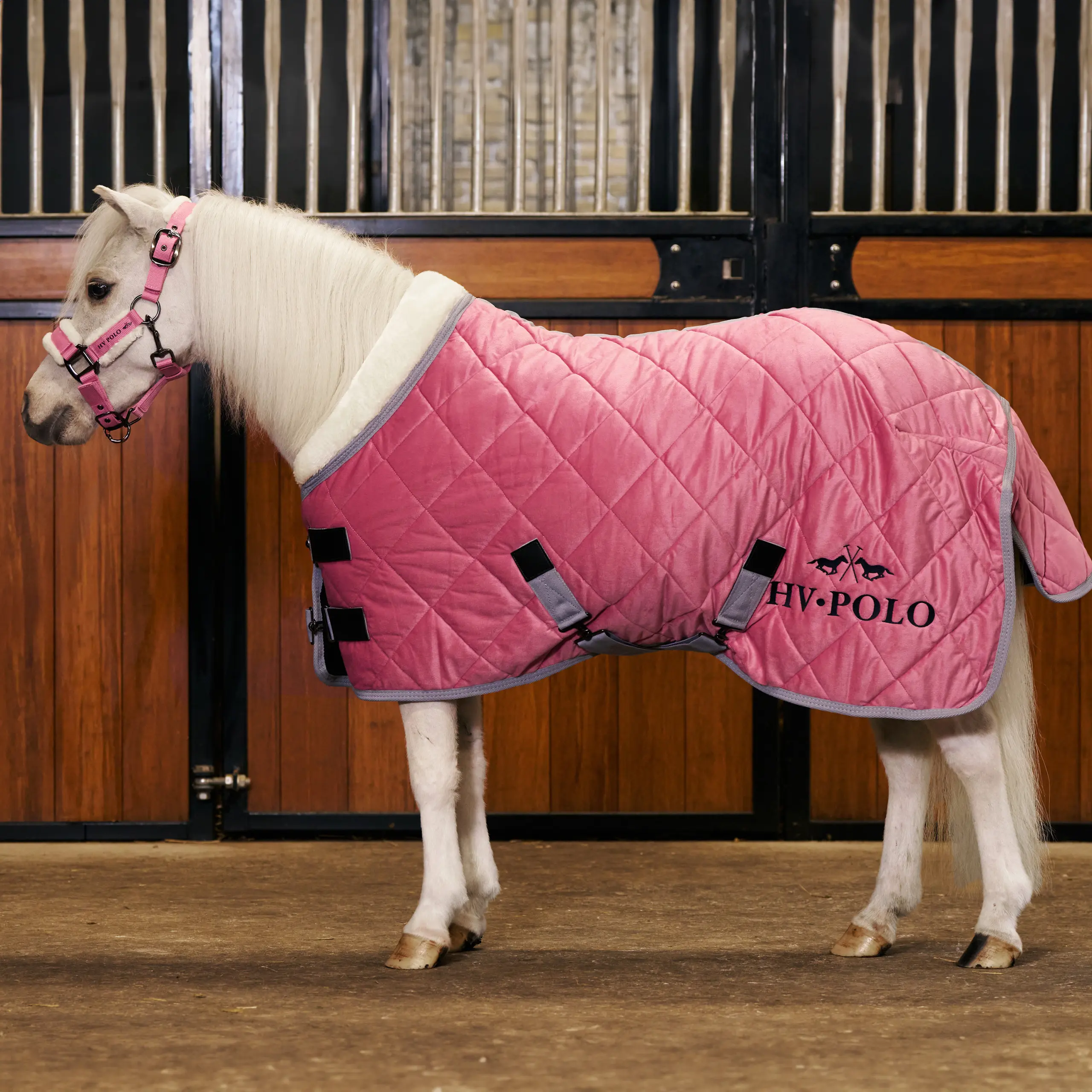 Stalldecke HVPSacha