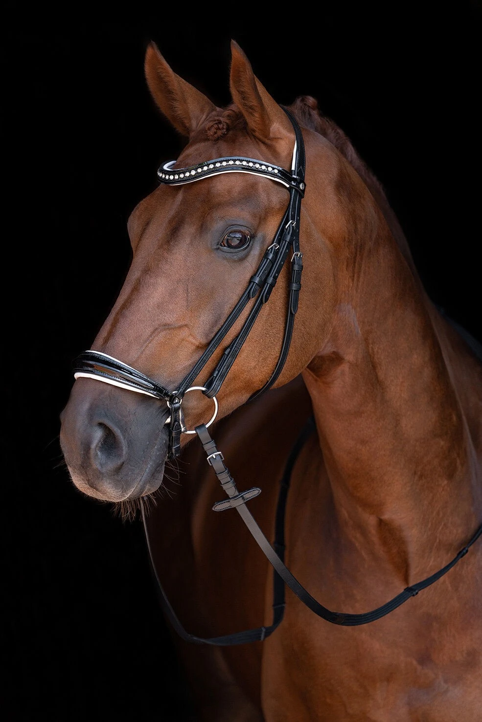 Bridle CAROLIN