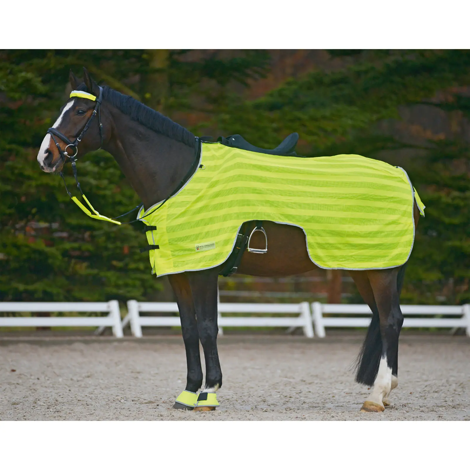 REFLEX riding blanket
