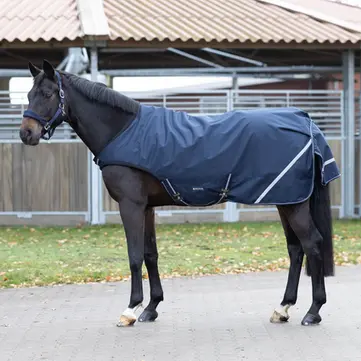 BUSSE Walker Rug RAIN COMFORT 100