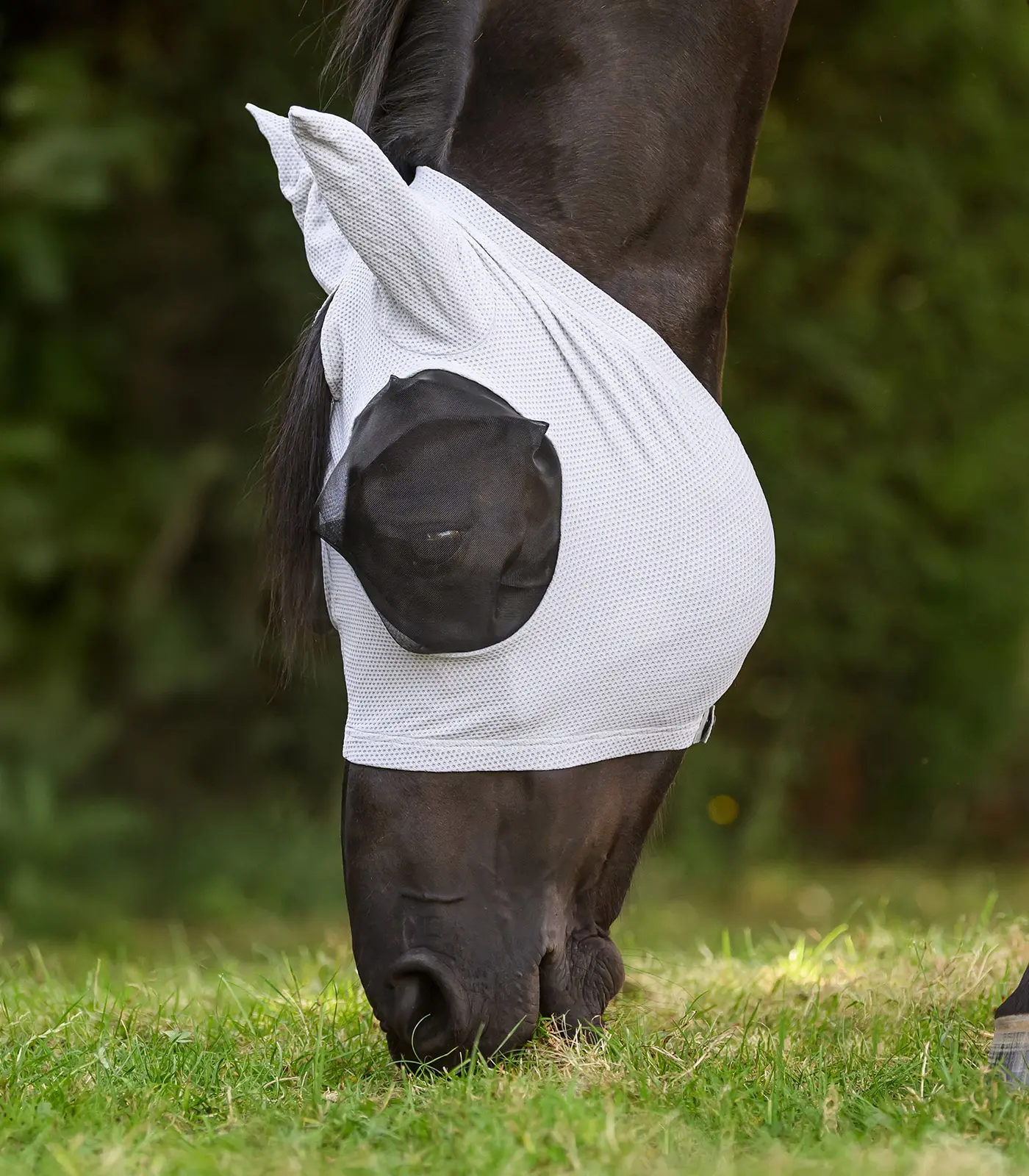 PUCK BREATH fly mask