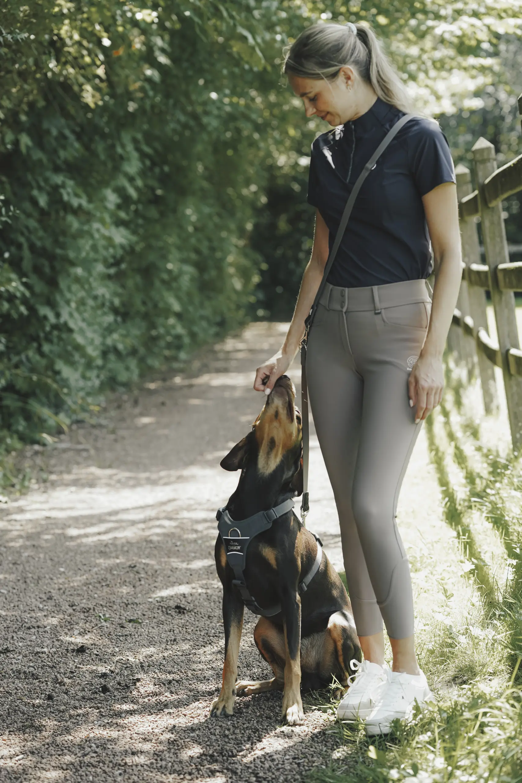 Dog harness MOTION