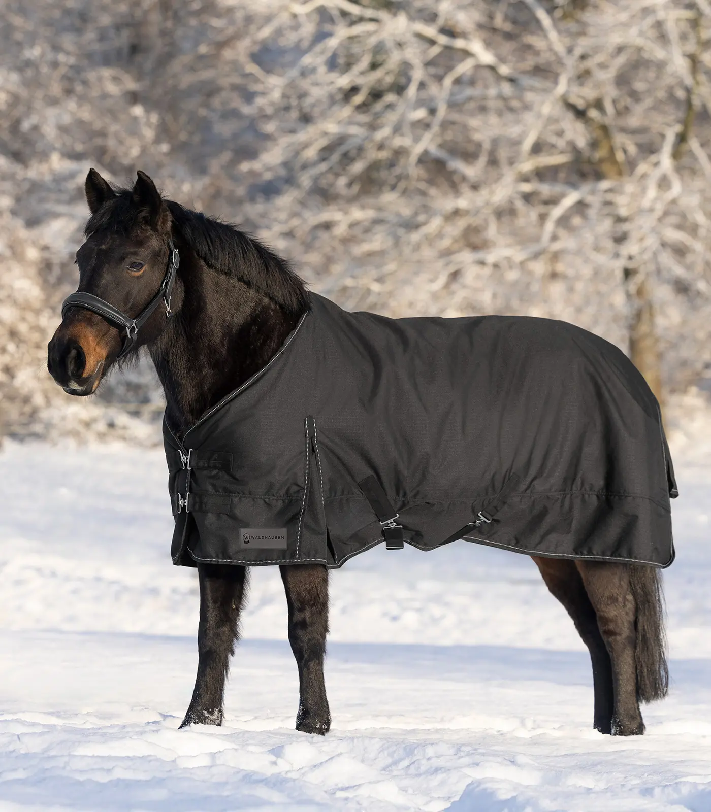 NORDIC Turnout Rug, 200 g