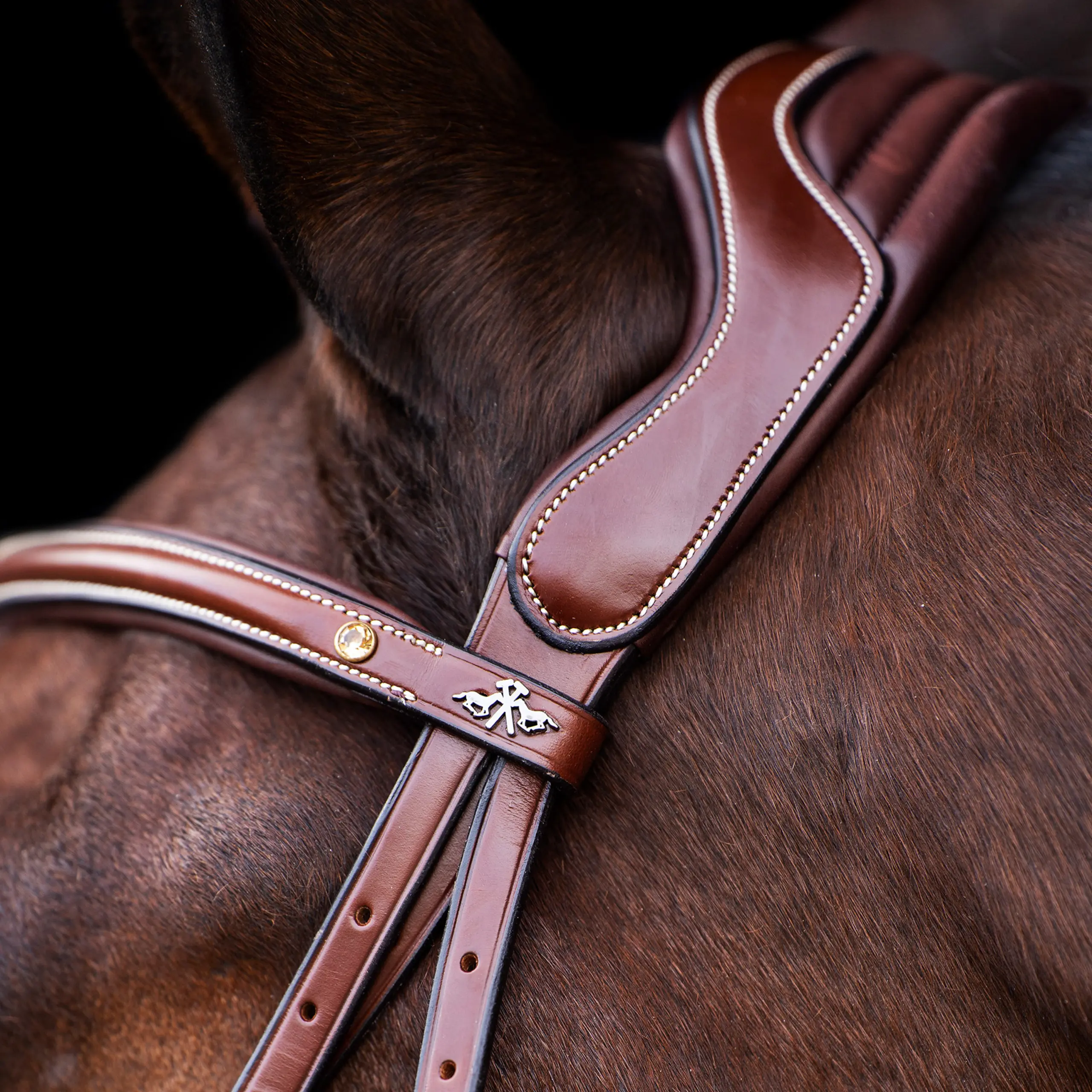 Bridle HVP-Legacy
