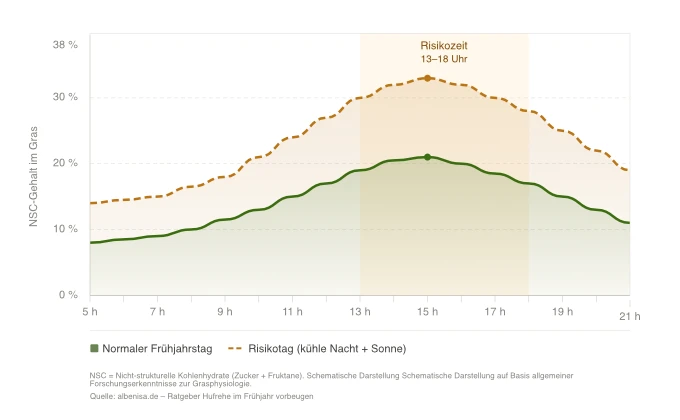 Liniendiagramm: Zuckergehalt im Frühjahrsgras im Tagesverlauf – morgens niedrig, nachmittags am höchsten, Risikotag mit deutlich erhöhten Werten