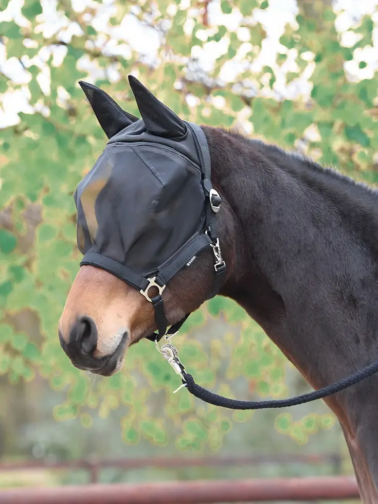 BUSSE Fliegenhalfter FAST, Warmblut extra groß, schwarz