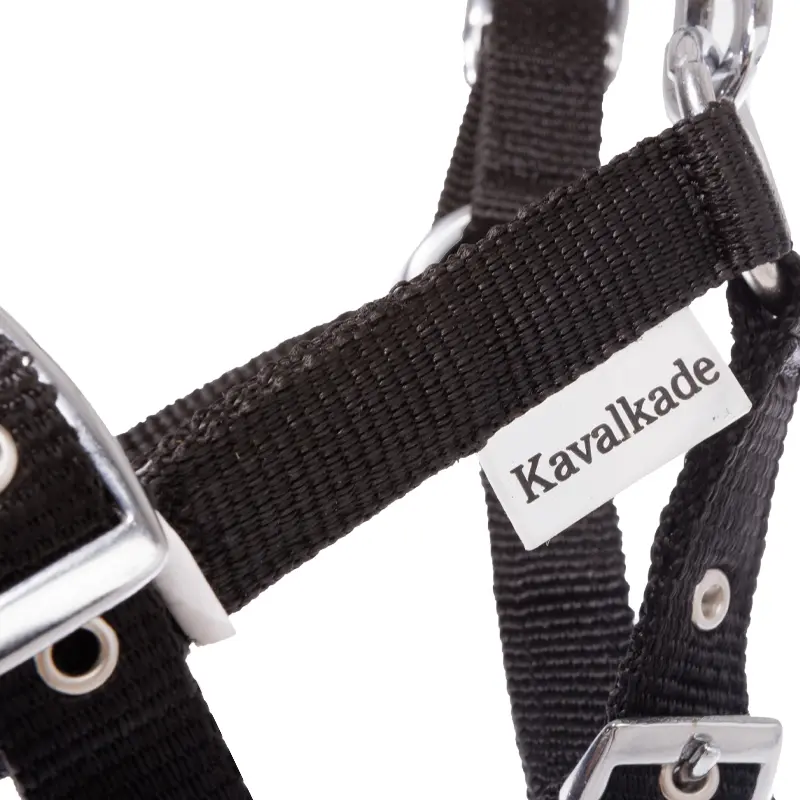 nylon Foal/Yearling halter