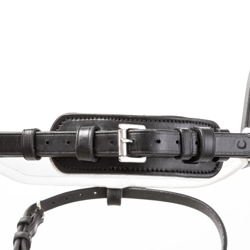 bridle FORTUNA crank nb. with flash