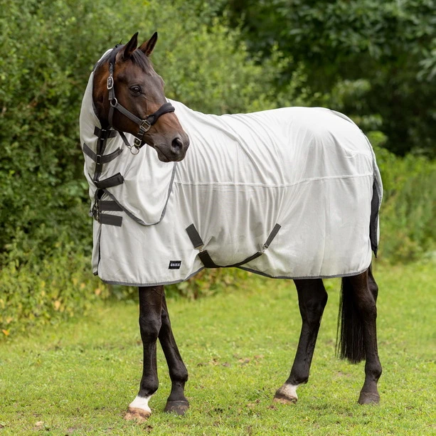 BUSSE Turnout Fly Sheet SUNSHINE II