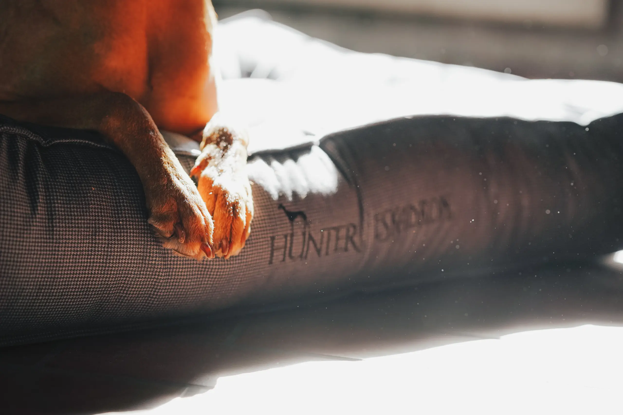 Hundebett CHESTER